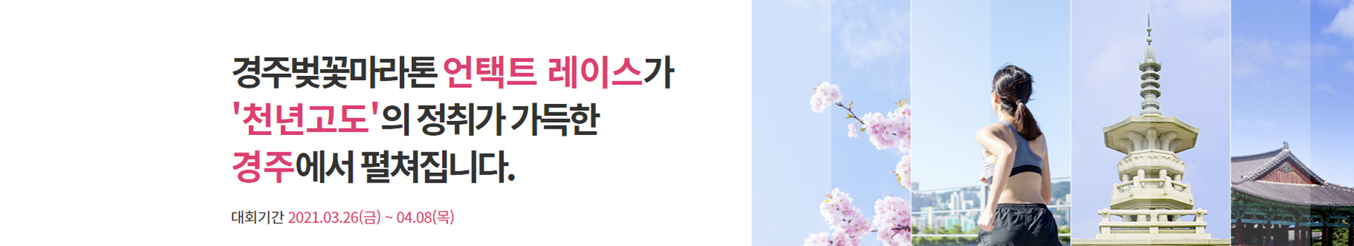 경주벚꽃마라톤 언택트 레이스 대표 이미지