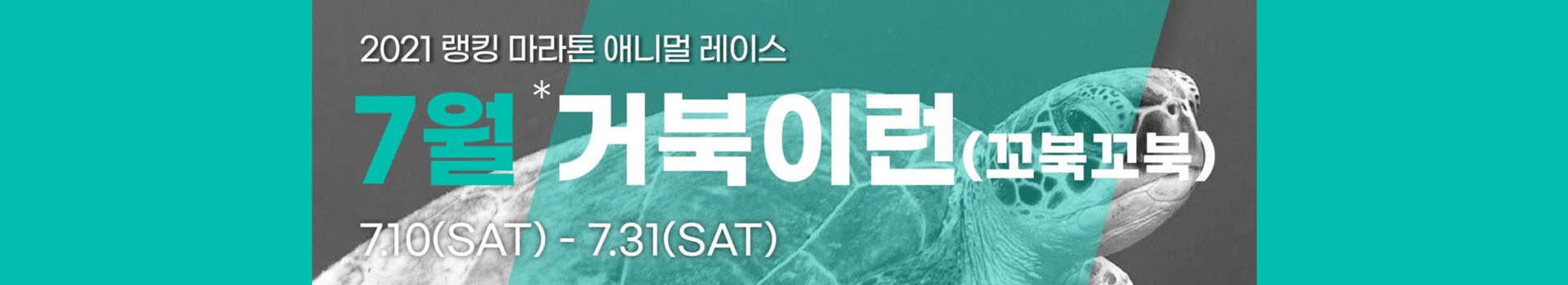 7월 거북이런 대표 이미지
