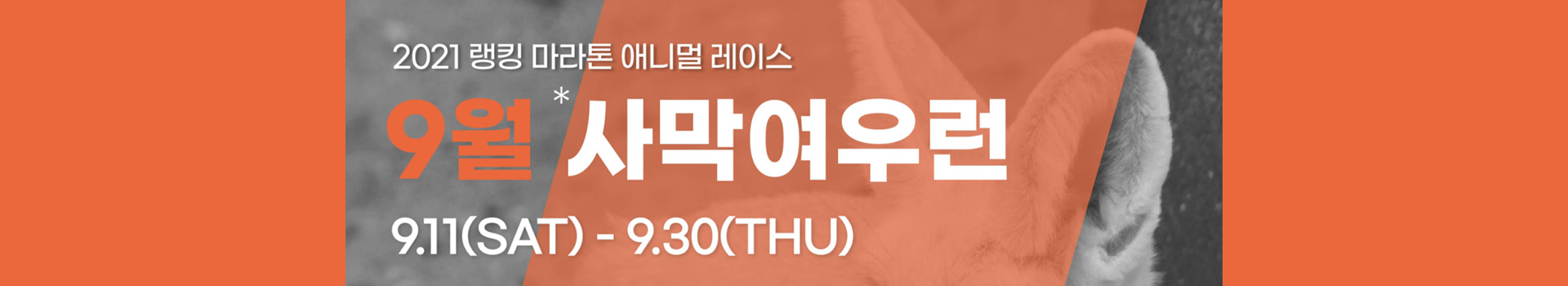 9월 사막여우런 대표 이미지