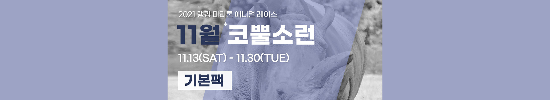 애니멀레이스 11월 코뿔소런-기본팩 대표 이미지