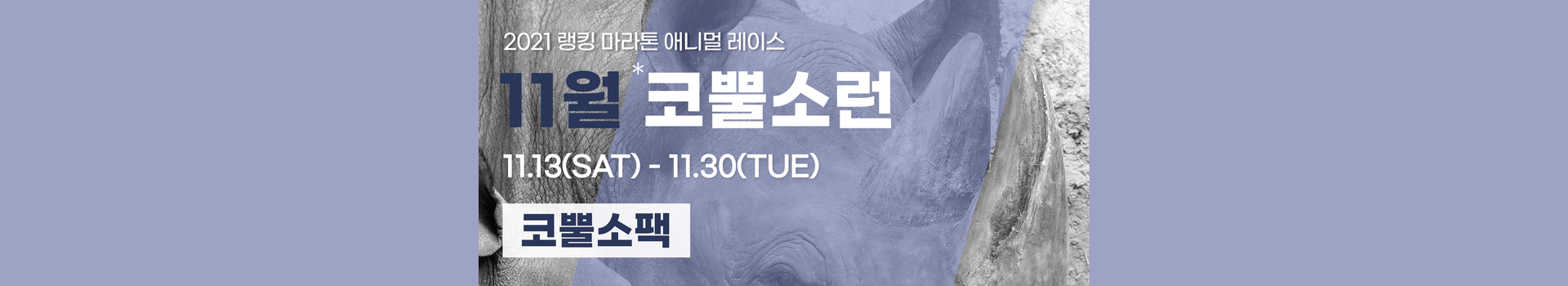 애니멀레이스 11월 코뿔소런-코뿔소팩 대표 이미지