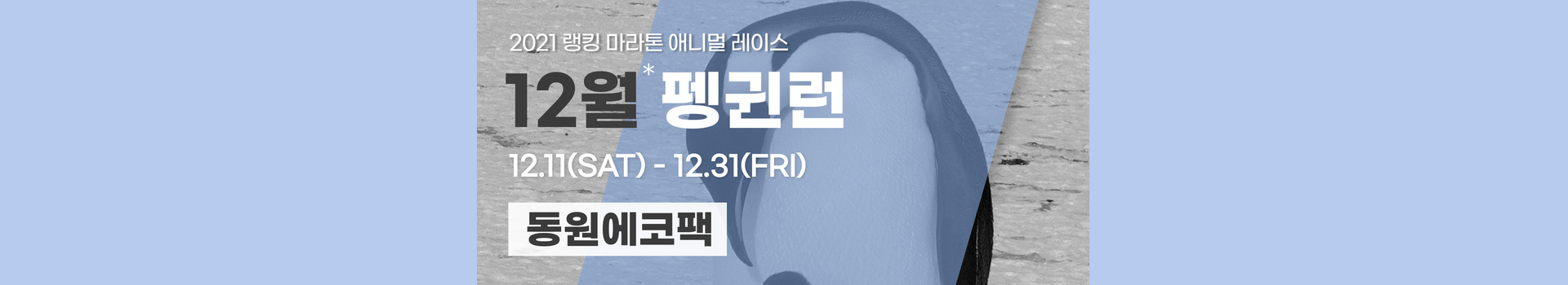 애니멀레이스 12월 펭귄런-동원에코팩 대표 이미지