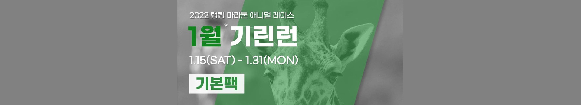 애니멀레이스 1월 기린런_기본팩 대표 이미지