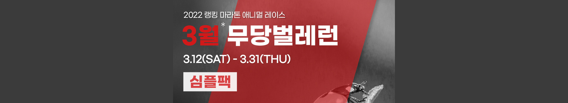 애니멀레이스 3월 무당벌레런 심플팩 대표 이미지