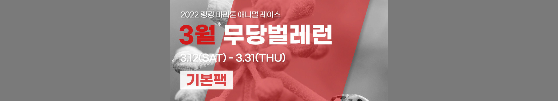 애니멀레이스 3월 무당벌레런 기본팩 대표 이미지