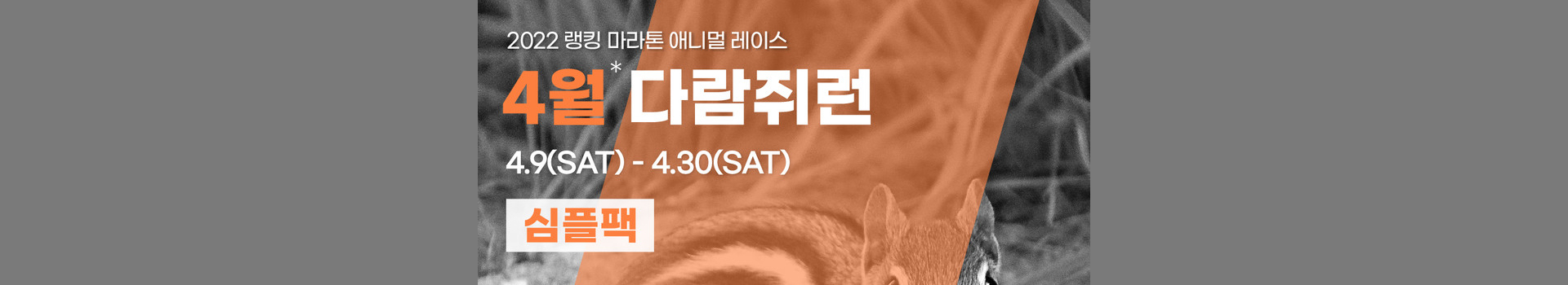 애니멀레이스 4월 다람쥐런 심플팩 대표 이미지
