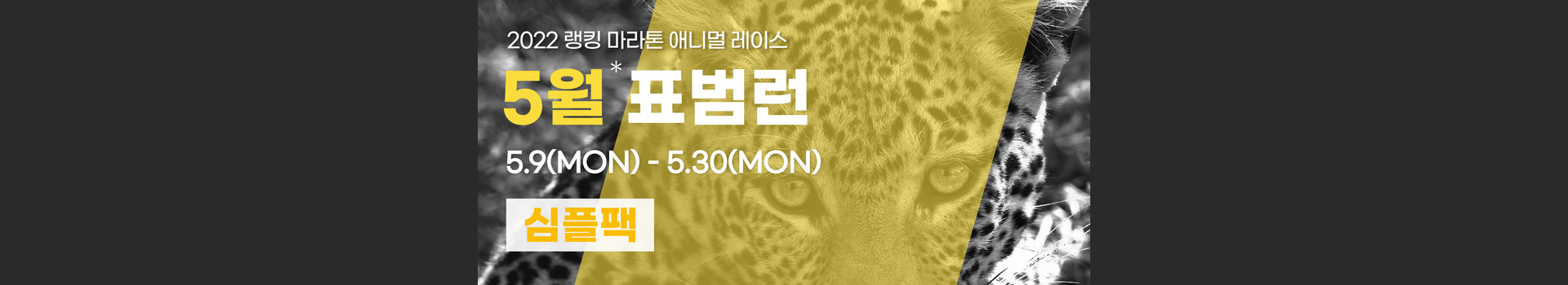 애니멀레이스 5월 표범런 심플팩 대표 이미지