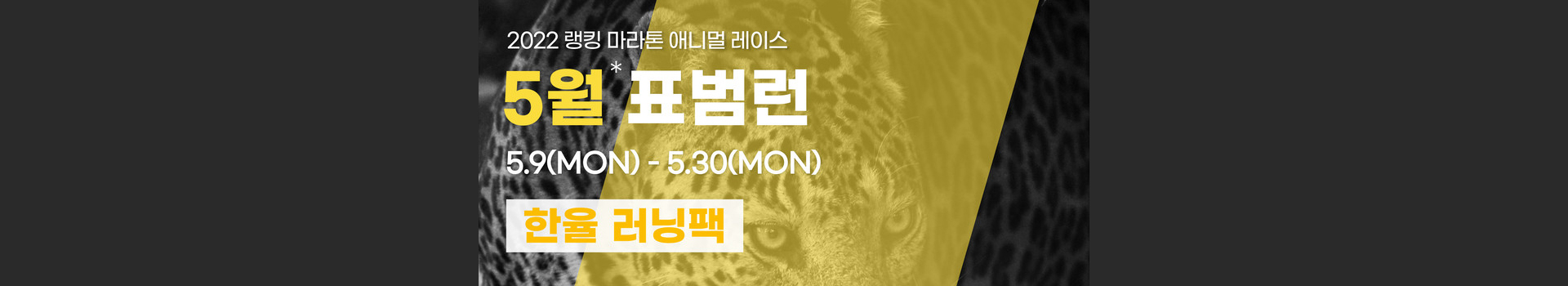 애니멀레이스 5월 표범런 한율 러닝팩 대표 이미지