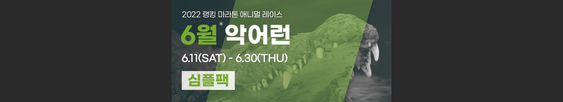 6월 악어런 심플팩 대표 이미지