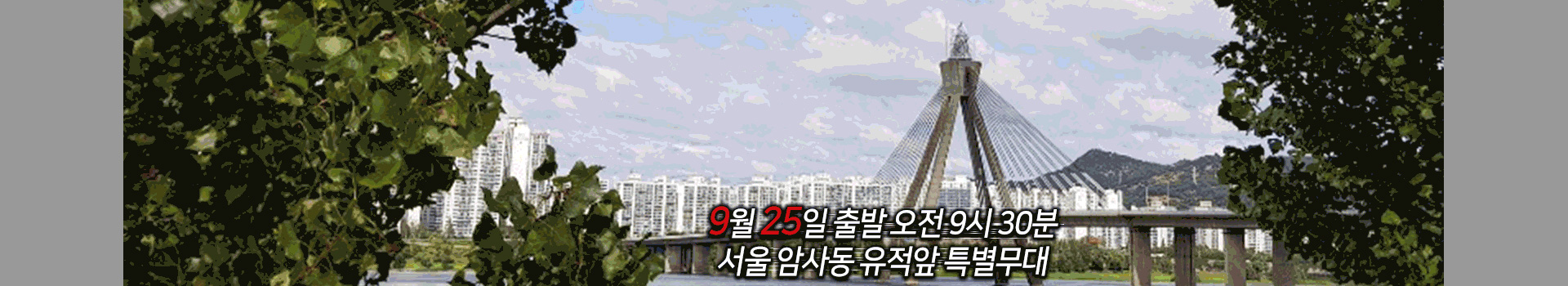 제16회 선사마라톤대회 대표 이미지