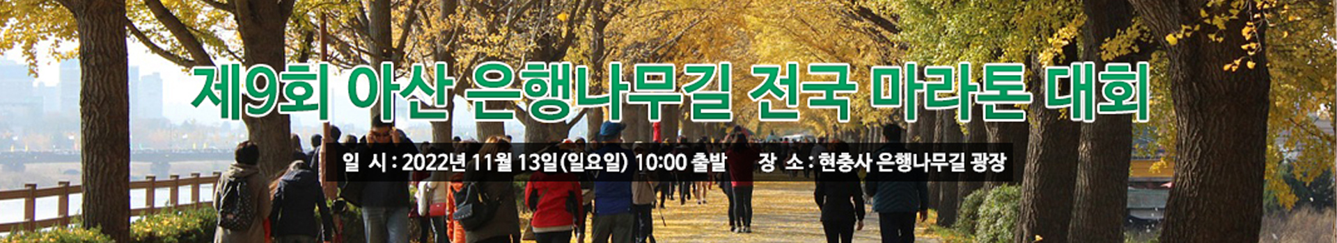 제9회 아산 은행나무길 마라톤 대회 대표 이미지