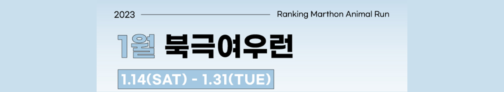 1월 북극여우런 대표 이미지