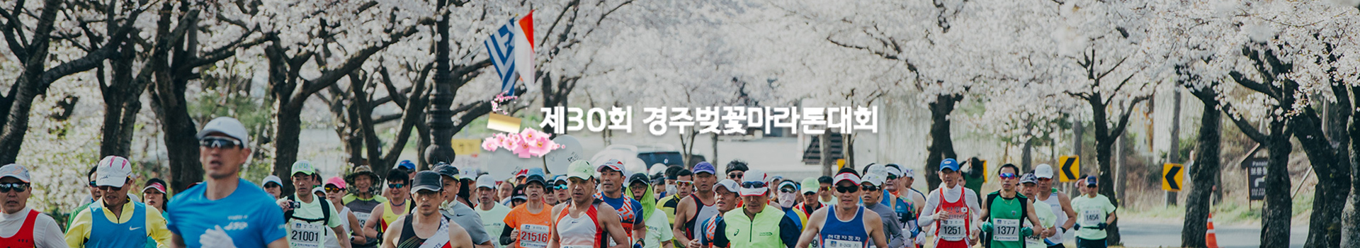 제30회 경주벚꽃마라톤대회 대표 이미지