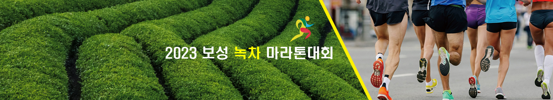2023 보성 녹차 마라톤대회 대표 이미지