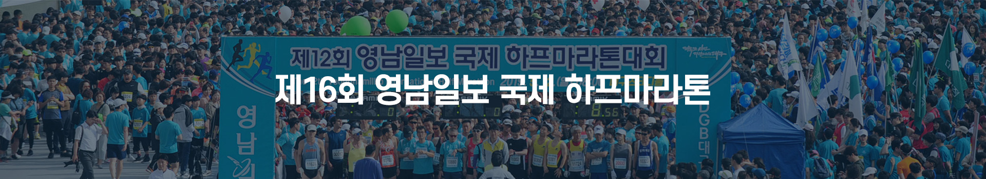 제16회 영남일보 국제 하프마라톤대회 대표 이미지