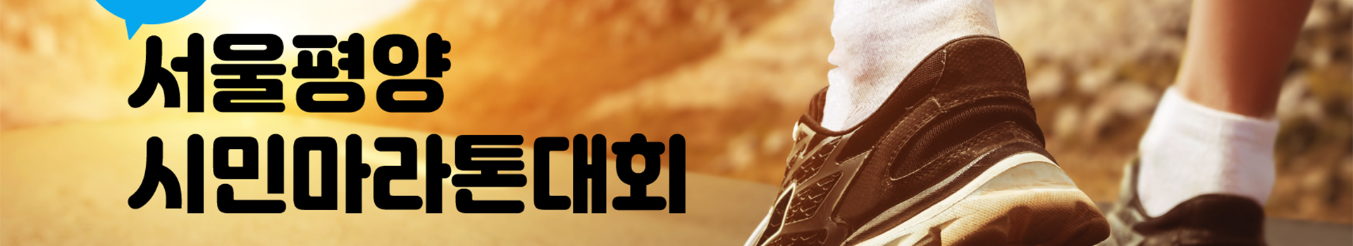 6회 서울평양시민마라톤대회 대표 이미지