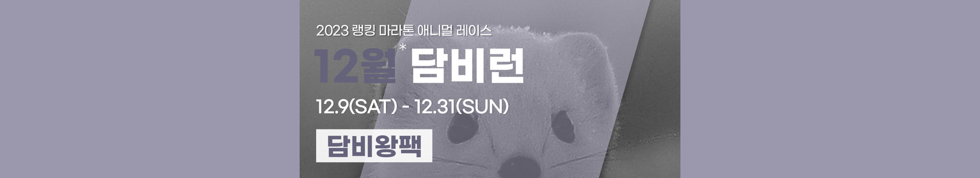 담비런 대표 이미지