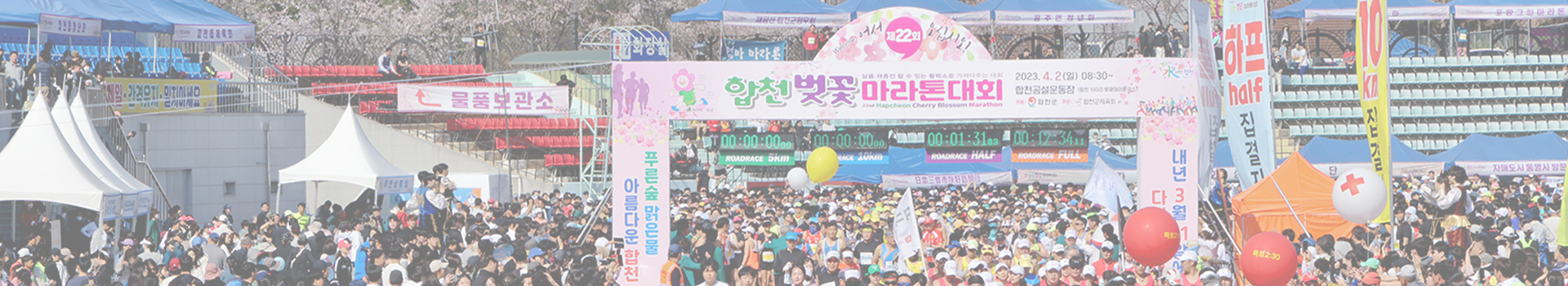 제23회 합천벚꽃마라톤 대표 이미지