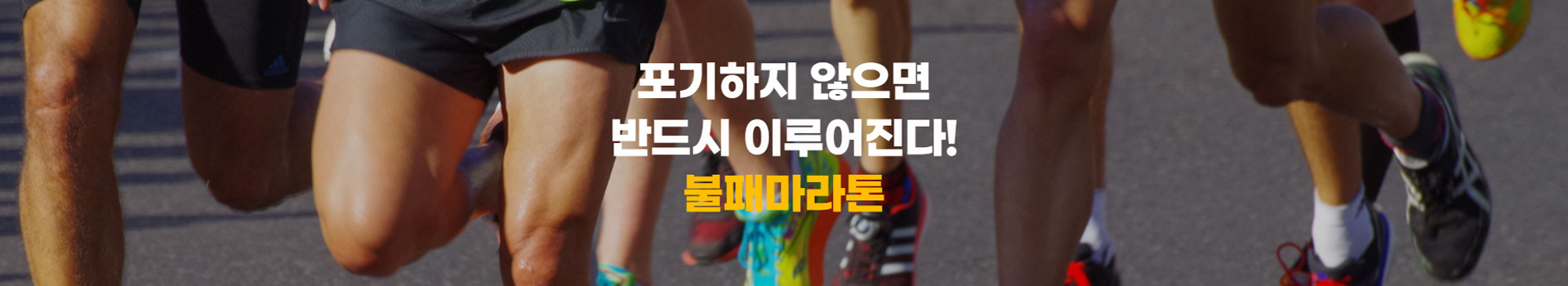 2024 불패마라톤 대표 이미지