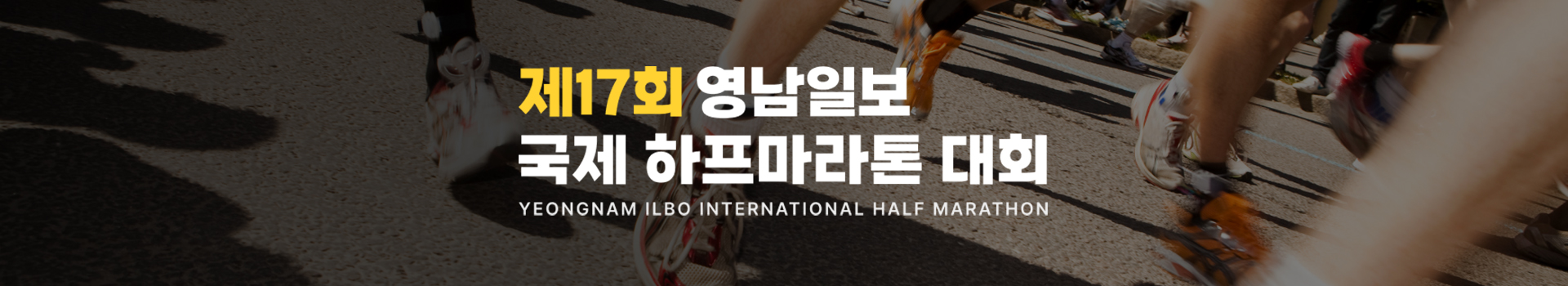 제17회 영남일보 국제 하프마라톤 대회 대표 이미지