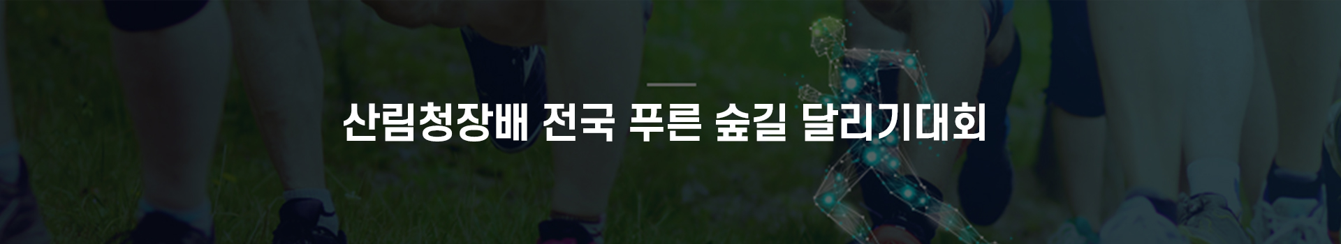 제19회 산림청장배 전국 푸른 숲길 달리기 대회 대표 이미지