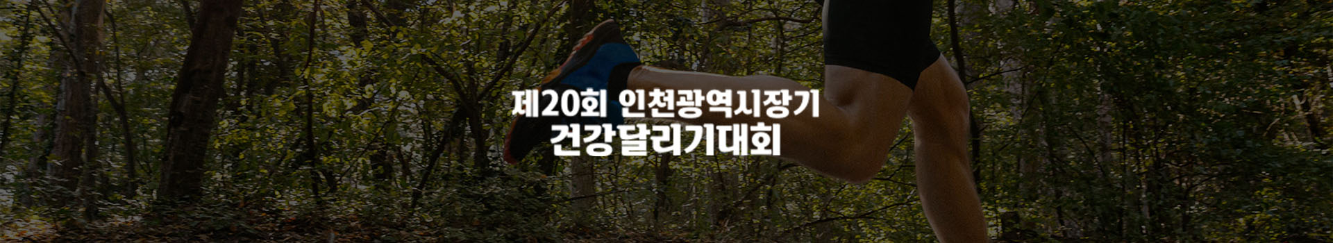 제20회 인천광역시장기 건강달리기대회 대표 이미지