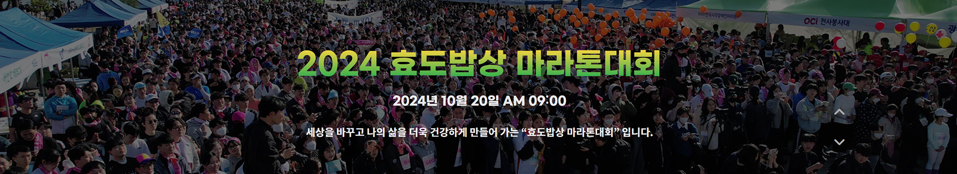 2024 효도밥상 마라톤대회 대표 이미지