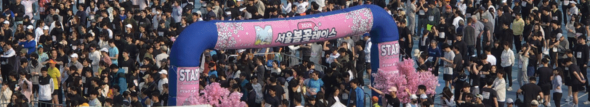 2025 서울봄꽃레이스 대표 이미지