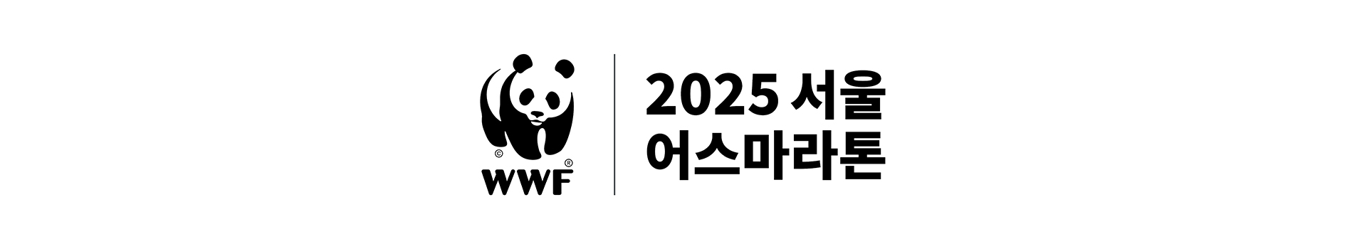2025 서울어스마라톤 대표 이미지