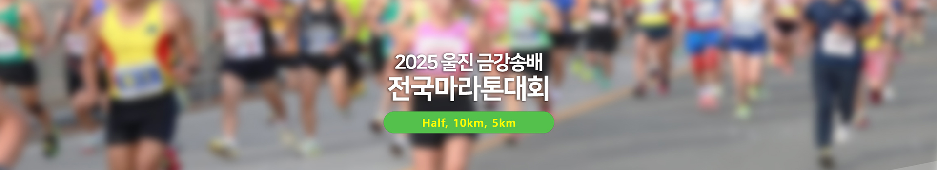 2025 울진금강송배 전국마라톤대회 대표 이미지