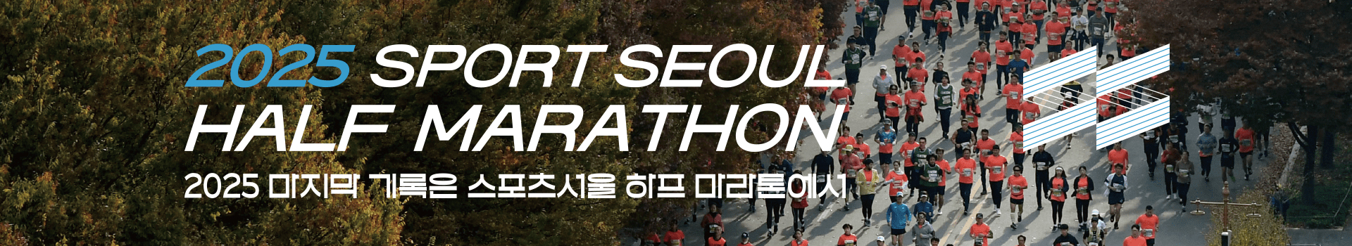 2025 스포츠서울 하프 마라톤 대표 이미지