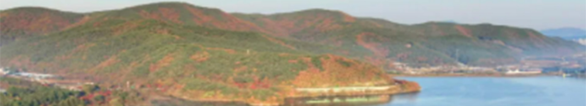 2025 정읍 내장산 트레일러닝 대표 이미지