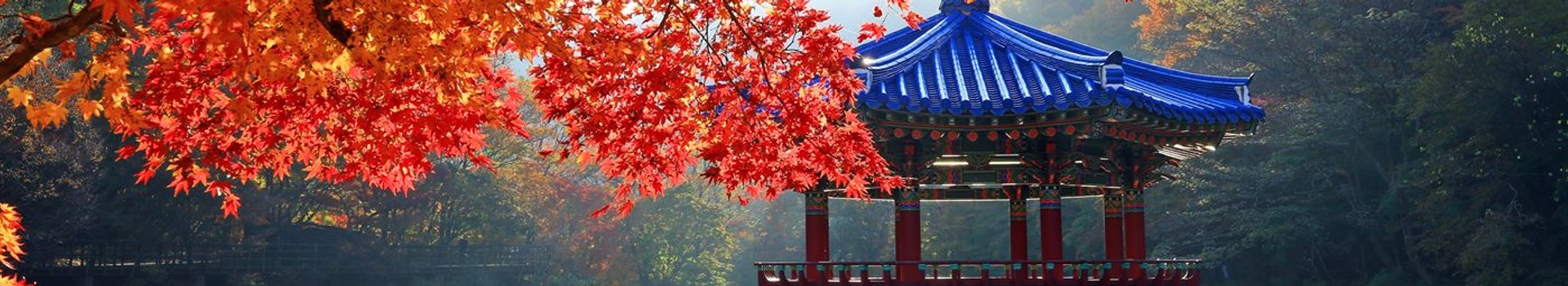 제1회 정읍 고향사랑기부마라톤 대표 이미지